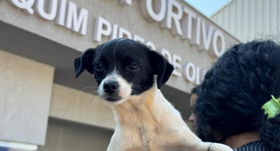 Crédito: Rafael Macri/PMM