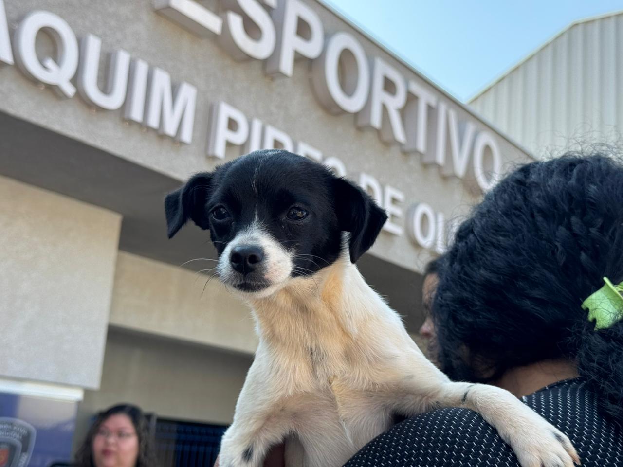 Crédito: Rafael Macri/PMM