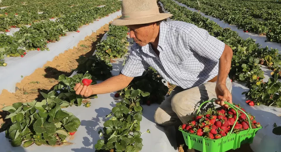 © Valter Campanato/Agência Brasil