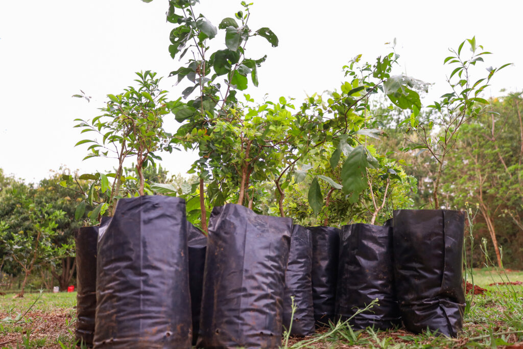 Crédito: Rafael Macri