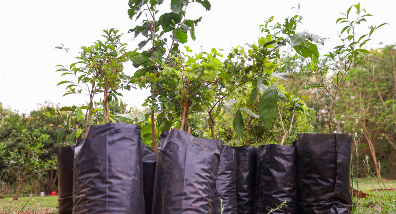 Crédito: Rafael Macri