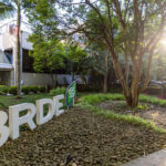 Vini Jr. brilha, Real elimina City e avança na Champions