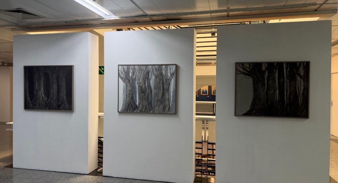 Crédito: Luana Caroline