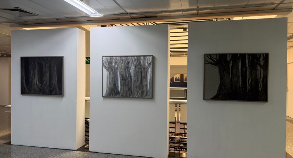 Crédito: Luana Caroline