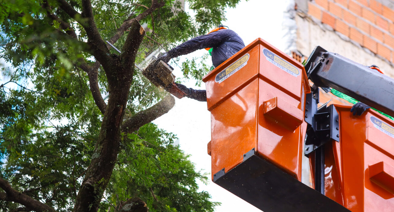 Crédito: Rafael Macri / PMM