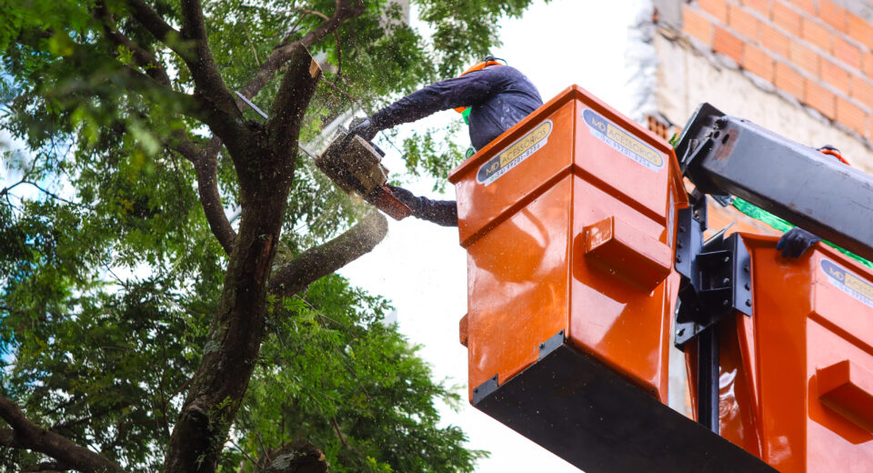 Crédito: Rafael Macri / PMM