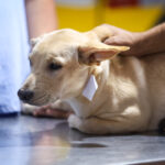 Itaú confirma acordo envolvendo ativos do BRB