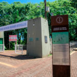 Elon Musk pede saída de Sam Altman em disputa bilionária da OpenAI