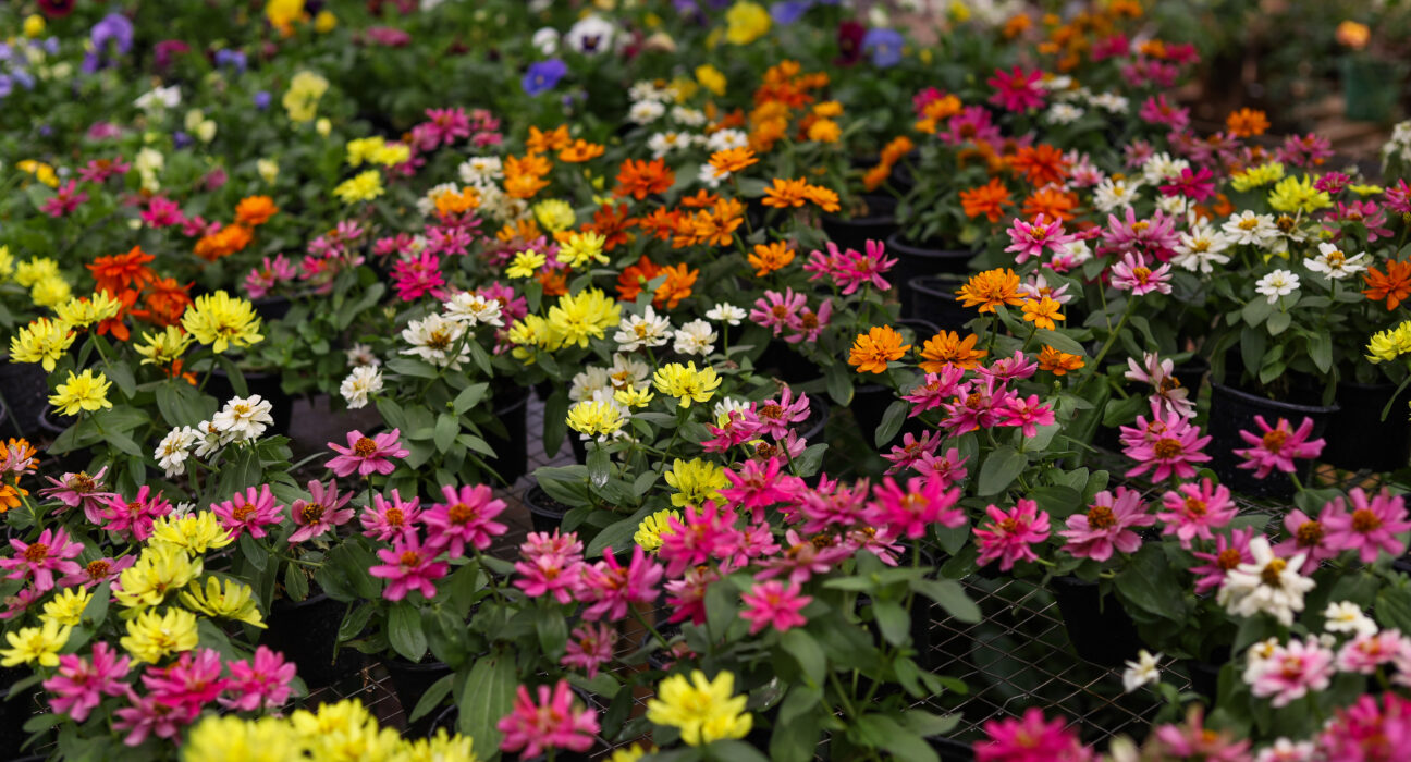 Crédito: Rafael Macri/PMM