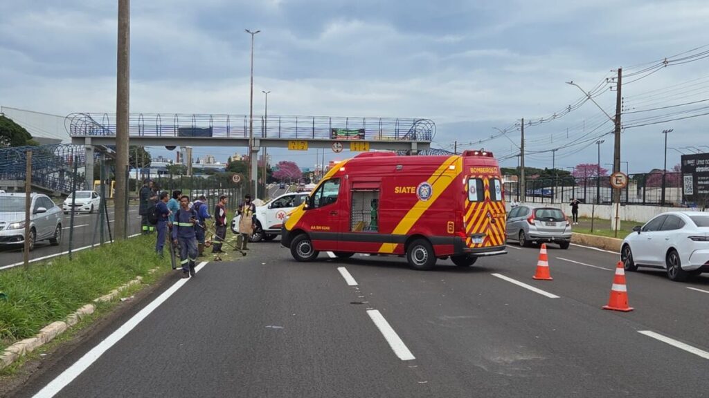 Foto: Colaboração/Corpo de Bombeiros