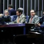 ‘Julho Dourado’: Secretaria de Proteção e Bem-Estar Animal promove ações de vacinação, castração, blitz educativa e adoção de pets